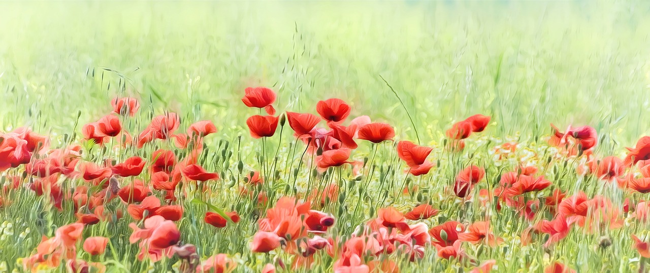 Key Features of a Site Analysis Tool