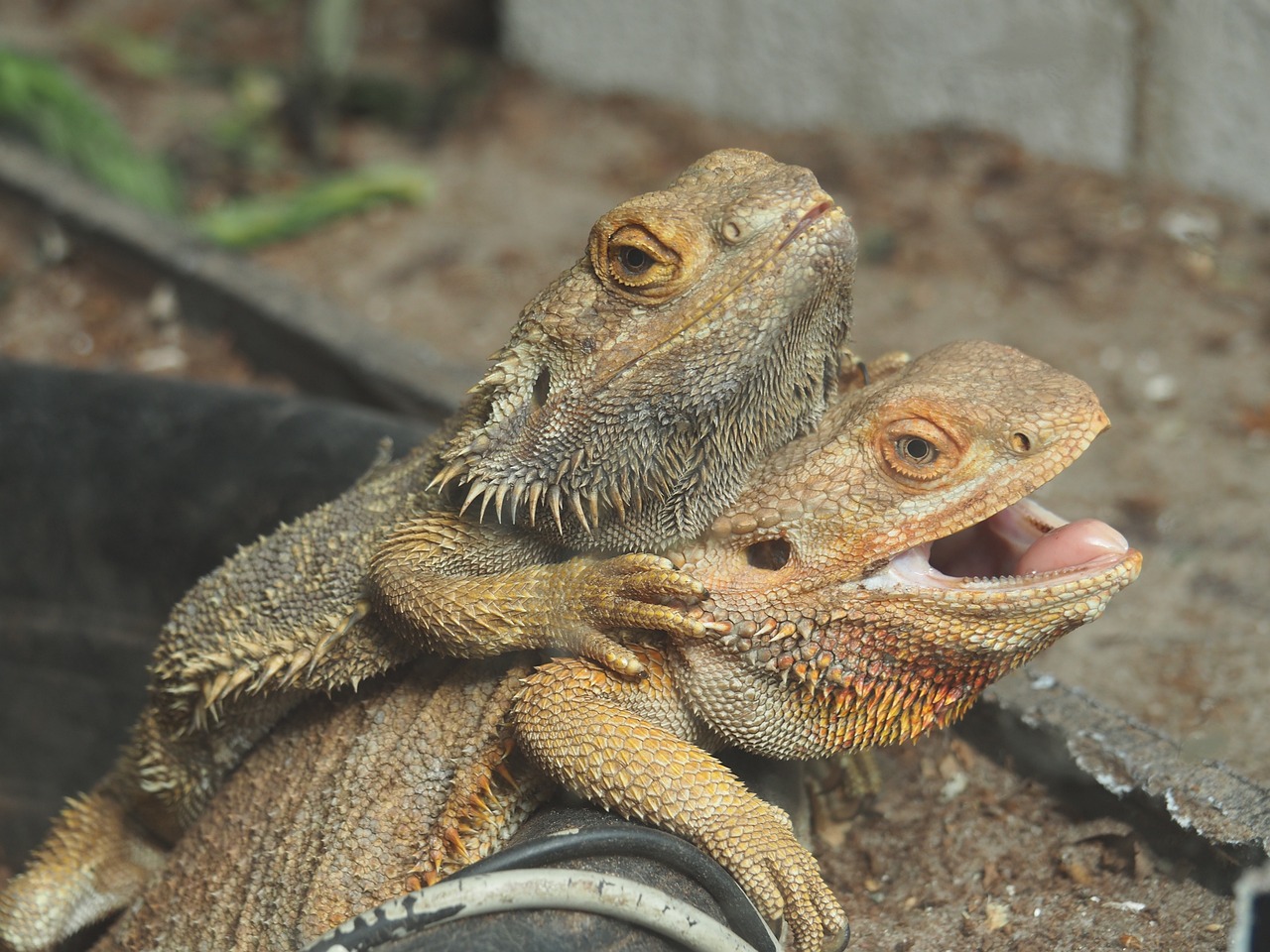 Choosing the Right Search Engines